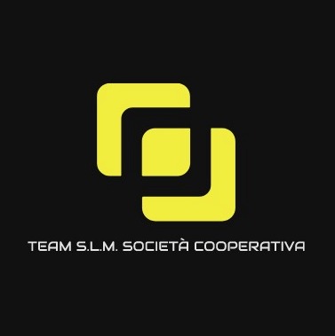 TEAM S.L.M. - SERVIZI DI FACCHINAGGIO E SUPPORTO ALL'ATTIVITA' DI LOGISTICA